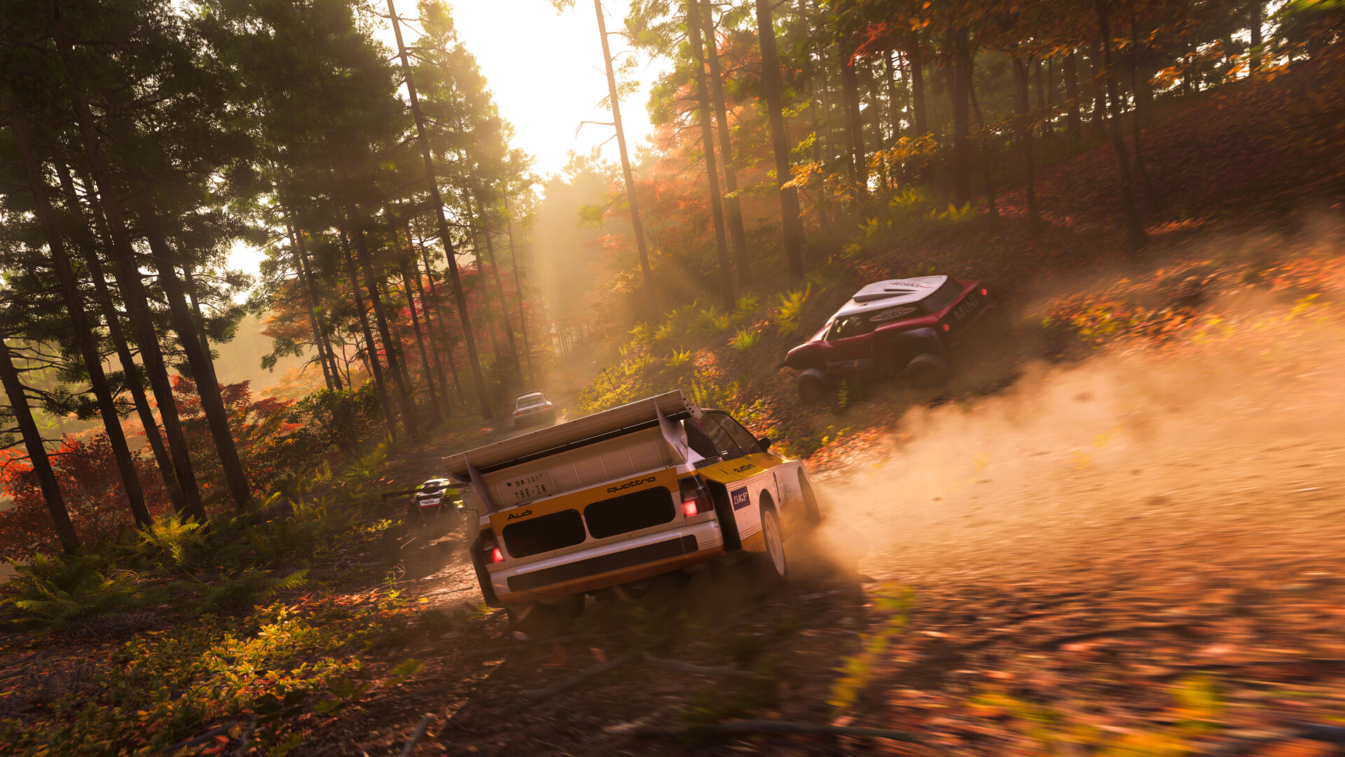 Veicoli da fuoristrada su un percorso boschivo — Forza Horizon 6. Screenshot ufficiale del gioco, non riproduzione della mappa completa.
