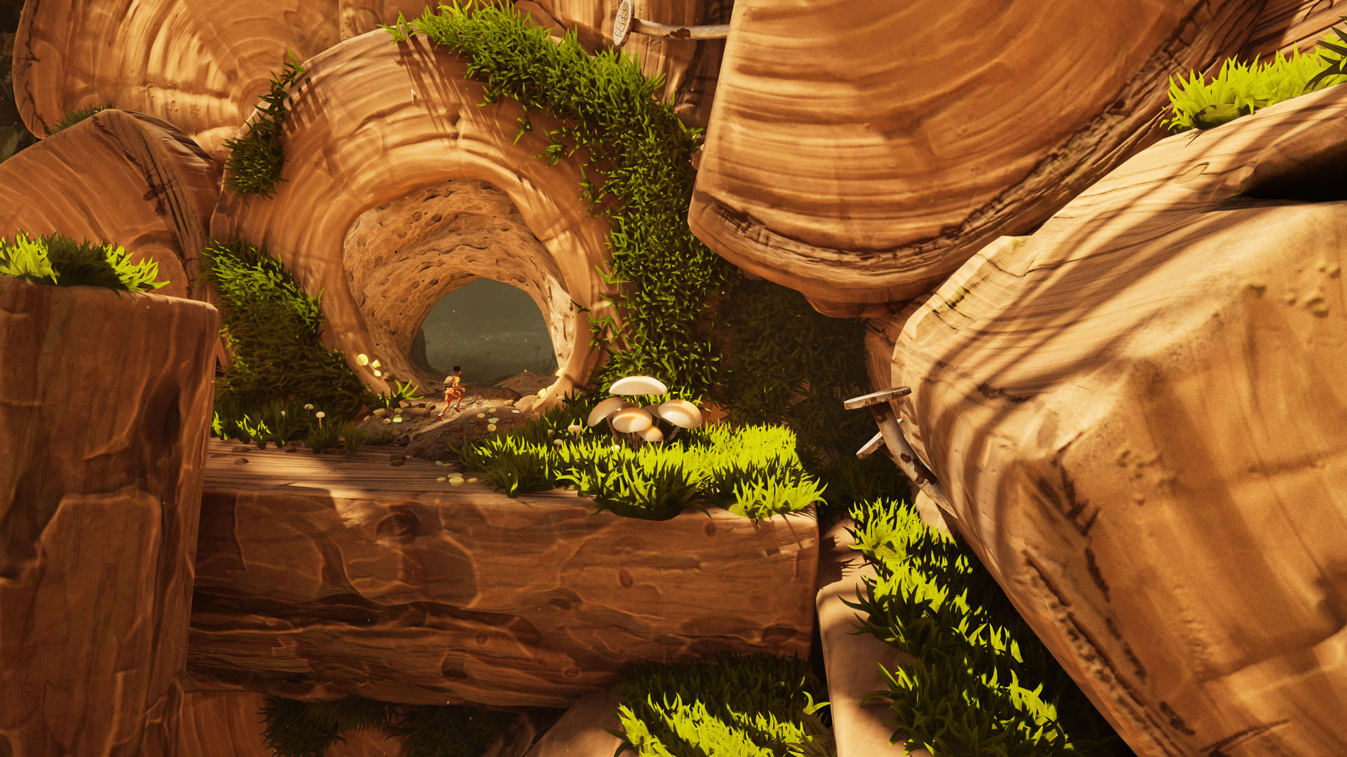 Woodpile, la nuova area di Grounded 2. Immagine: Obsidian Entertainment.