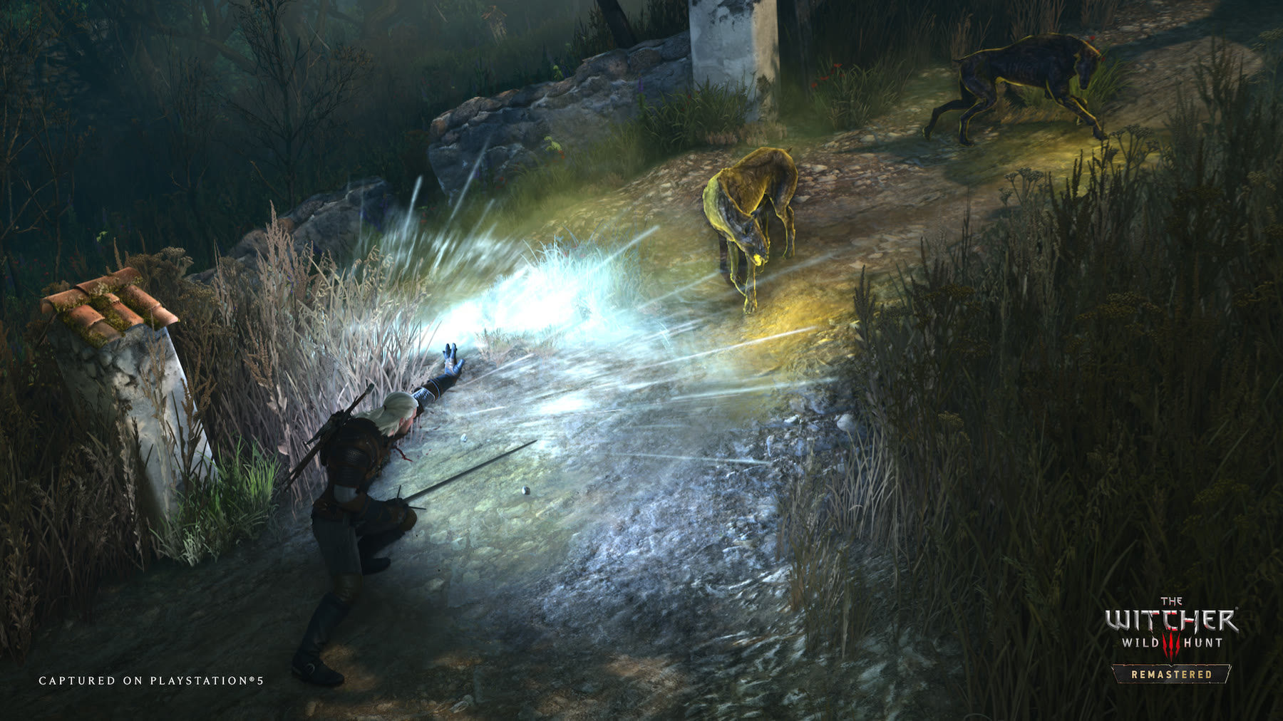 The Witcher 3 Remastered, screenshot promozionale PS5. Immagine di contesto, non un confronto della patch Switch 2. Immagine: CD Projekt RED.