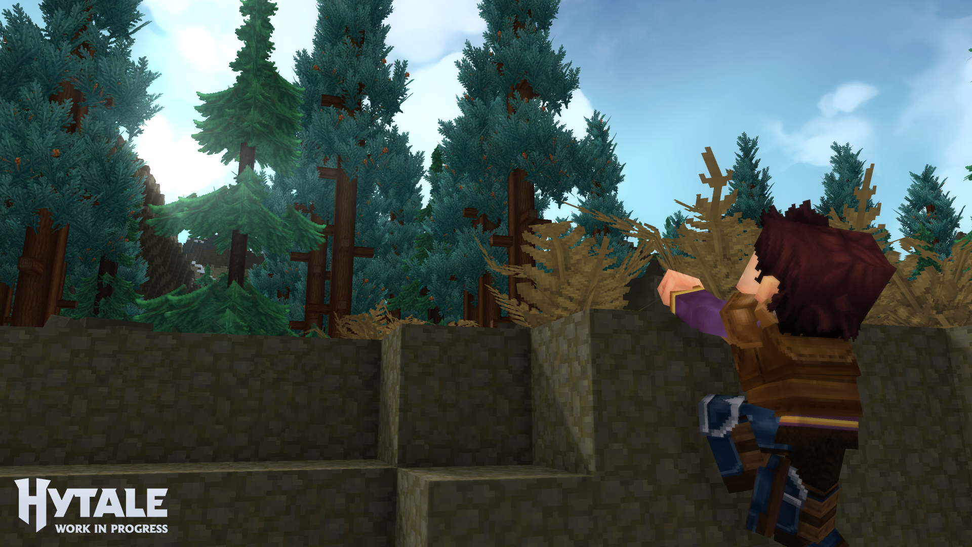 Exploration nel materiale ufficiale — Hytale.