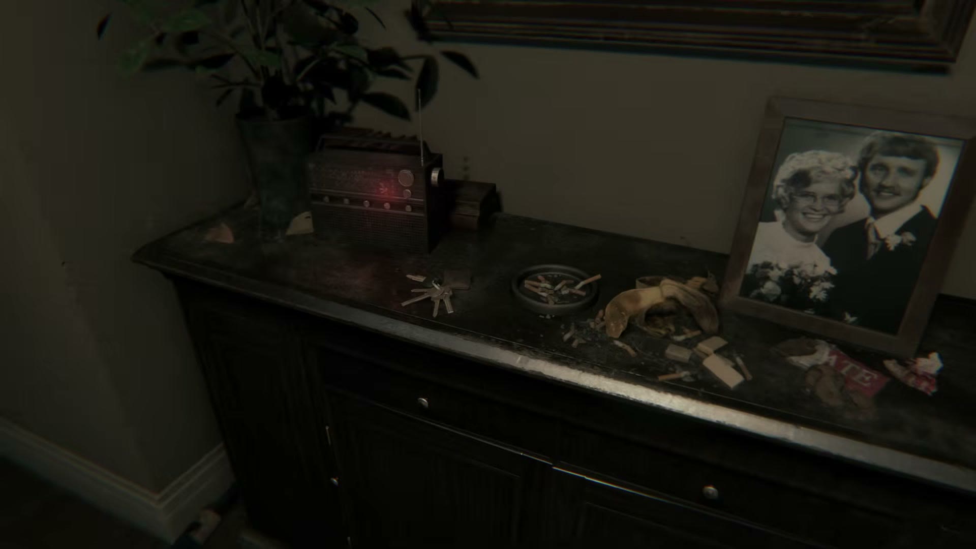 La radio nel corridoio di P.T. nel port nativo per PC